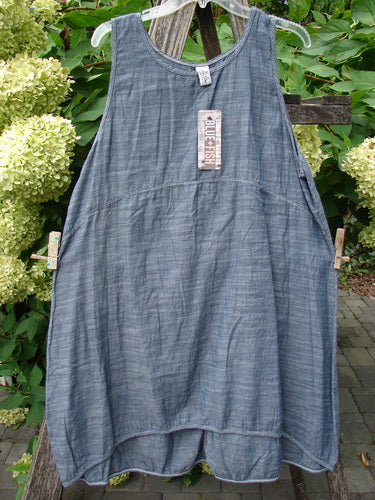 Barclay NWT Light Weight Chambray Shift Stripe Blue Light Size 0, sleeveless tunic style, with a scoop neckline and varying hem, hangs outdoors, showcasing its airy linen fabric and unpainted stripe pattern.