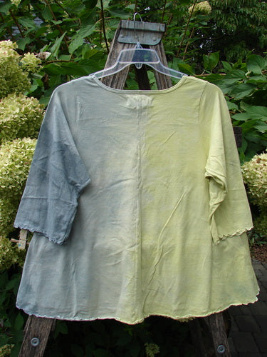 Barclay NWT Three Quarter Sleeved Cafe Tee in Free Bird Mottled Violet Citron, featuring a loose fit, curly edgings, and a unique color-blocked design, displayed on a weathered ladder.