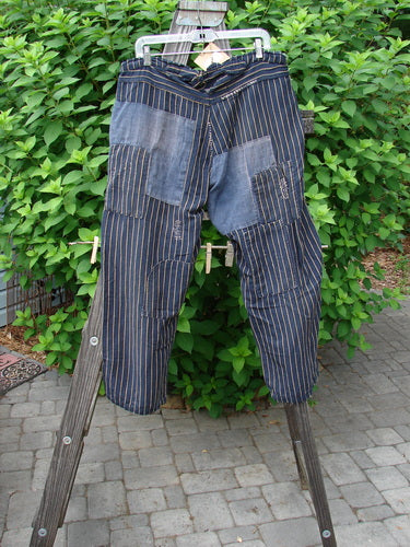 Magnolia Pearl NWT Lilou Trouser Pant Depot Pinstripe OSFA | Bluefishfinder.com