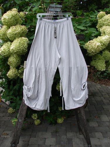 Barclay NWT Crop Billow Pant Unpainted Pearl Smoke Size 0 displayed on a hanger, featuring an elastic waistband and adjustable ties, draped over a wooden garden ladder with lush greenery in the background.