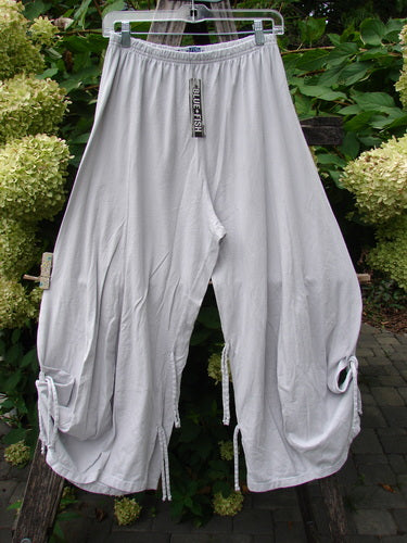 Barclay NWT Crop Billow Pant in Pearl Smoke, featuring a wide, dropped-crotch style with a full elastic waistband, patch pockets, and drawstring cuffs, displayed on a hanger outdoors. Size 0.