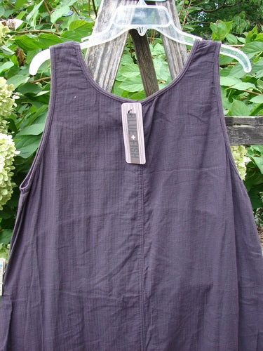 Barclay NWT Textured Salted Shift Unpainted Harrow Red Plum Size 0: Sleeveless, charcoal tunic with a rounded neckline and varying hemline, displayed on a hanger outdoors.