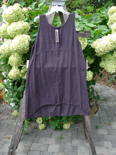 Barclay NWT Textured Salted Shift Unpainted Harrow Red Plum Size 0 displayed on a wooden ladder, featuring a sleeveless, loose-cut design with a rounded neckline and varying hemline.