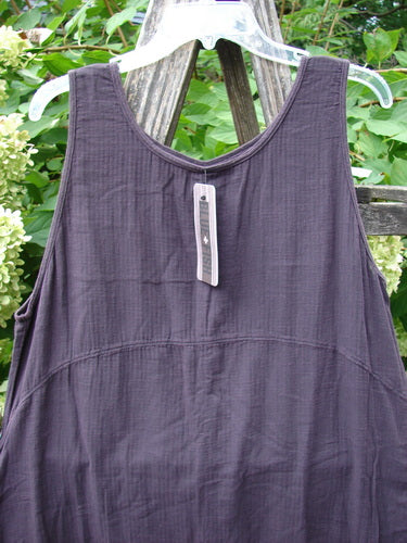 Barclay NWT Textured Salted Shift in Harrow Red Plum Size 0, displayed outdoors. Features a rounded neckline and varying hemline on featherweight batiste fabric, adding a unique textured look.