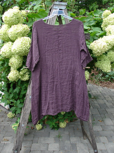 Barclay NWT Linen Zen Pocket Tunic Dress in Fig, size 0, showcased on a hanger, features a crinkled texture, three-quarter sleeves, A-line shape, dual exterior pockets, with oval neckline.