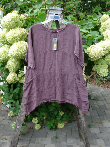 Barclay NWT Linen Urchin Pocket Tunic Unpainted Fig Size 0 displayed on a wooden ladder, showcasing its loose fit, rounded neckline, empire waist, A-line flair, and front pockets.
