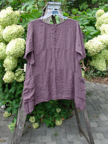 Barclay NWT Linen Urchin Pocket Tunic Unpainted Fig Size 0, featuring a scoop neckline, empire waist seam, A-line flair, and patch pockets, displayed on a rustic ladder.