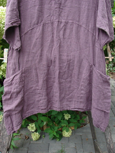 Barclay NWT Linen Urchin Pocket Tunic Unpainted Fig Size 0, featuring elbow-length sleeves, two large front pockets, an empire waist seam, and an A-line flair, draped over an outdoor wooden ladder.