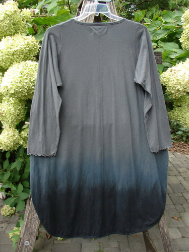 Barclay NWT Natalia Tunic Rain Pod Twilight Grey Size 0 hanging outdoors, featuring a scoop neck, long sleeves with lettuce edges, ombré effect, rounded hem, side vents, highlighting Bluefishfinder's creative vintage style.