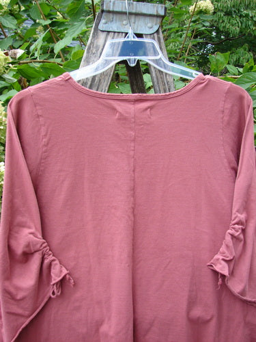 Barclay NWT Draw Gather Sleeve Cafe Top Free Bird Desert Size 0, featuring a rounded neckline and swinging A-line shape with cozy wide sleeves, elegantly displayed on a wooden ladder.