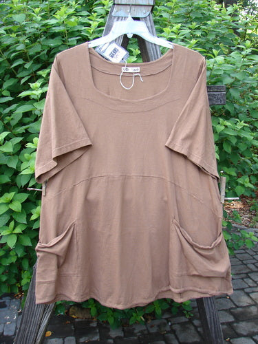 Image alt text: Barclay NWT Be There Top, brown shirt with pockets on a swinger, empire waist seam, wide full pleats, forever skirt flair, organic cotton, size 2.
