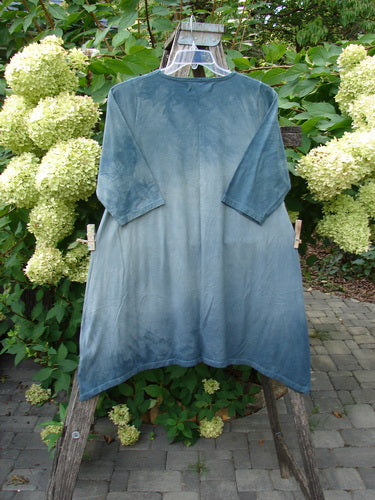 Barclay NWT Wander Tunic Tee Shadow Blossom Mottled Grey Green Size 0, displayed on a wooden ladder with three-quarter sleeves, rounded neckline, and A-line flair, exemplifying BlueFishFinder's vintage aesthetic.