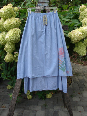 Descriptive image text