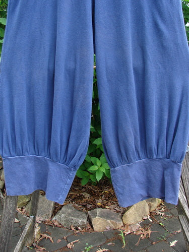 Barclay Thermal Banded Bottom Pant in Royal Blue, showcasing a thick elastic waist, wide hips, gathered banded lowers, deep side pockets, and cropped length, ideal for creative self-expression.