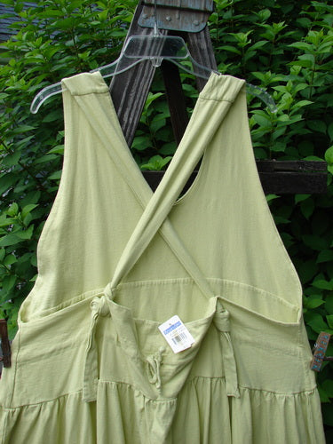 A New With Tag Tadpole Jumper in Light Sage, made from Organic Cotton. Features include adjustable shoulder straps, a sweeping hemline, a criss-cross lower back, and round bottomed pockets. Bust 40, waist 50, hips 60, length 46-52 inches. 1999 NWT Tadpole Jumper Single Bass Moon Sky Citron OSFA.