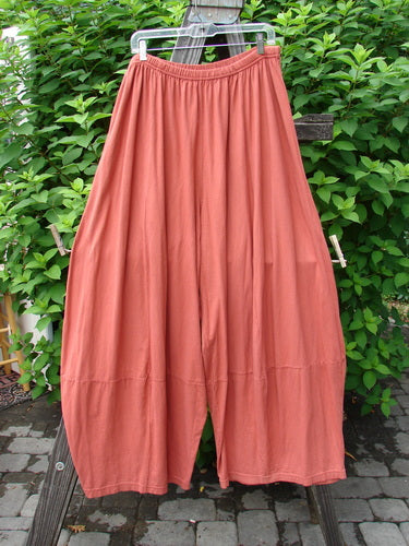Image alt text: Barclay 4 Square Pant in Pumpkin, a pair of pants on a clothesline. Unique bottom cut creates a 3D diamond shape from knee down. Made from lightweight organic cotton. Size 2.