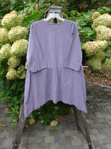 Barclay NWT Three Quarter Sleeve Color Wheel Tunic Many Moons Violet Size 0 displayed on a wooden ladder, showcasing its scalloped hem and lettuce-edged sleeves amidst a lush garden backdrop.