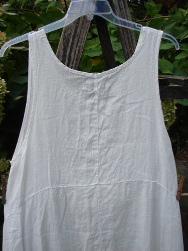 Barclay NWT Linen Tulip Midlayer Overpiece Unpainted White Size 0 displayed outdoors on a hanger, featuring a layered crossover front, empire waist, and A-line flare against a green foliage backdrop.