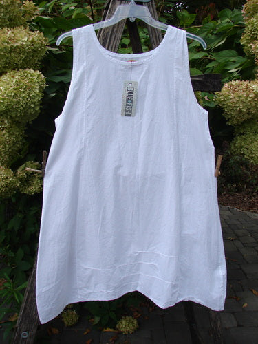 Barclay NWT Retro Pinch Shift Unpainted White Buttercup Size 1: A loose-fitting, white sleeveless linen tunic with a rounded neckline, wide A-lined hem, and vertical sectional panels, displayed hanging outdoors.