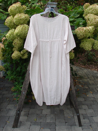 Barclay NWT Textured Batiste Linen Haystack Dress Unpainted Translucent Size 0, featuring elbow-length sleeves, waist drawstring, vertical drawcords, and raw-edged seams, hangs outdoors on a hanger amidst flowering shrubs.