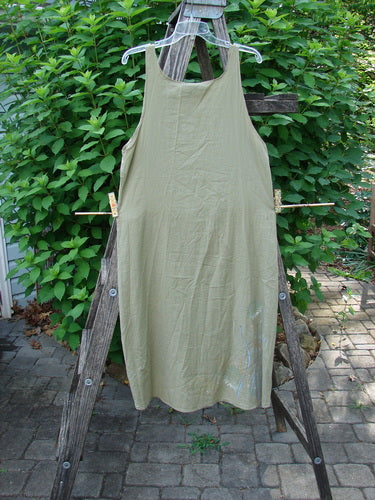 Barclay Batiste Slip Dress Floral Reach Seed Size 0 hangs on a wooden ladder, showcasing its elegant empire waist, rounded neckline, and floral theme, embodying BlueFishFinder's vintage charm and creative expression.