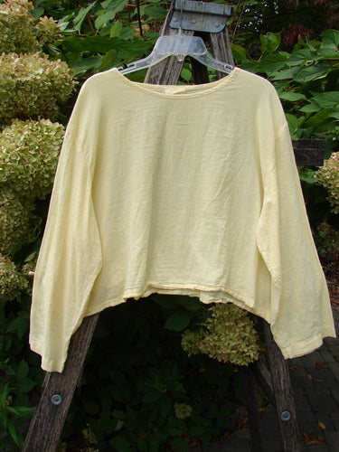 1999 Batiste Boxy Top Unpainted Buttercup Size 2, featuring a crew neckline and raw-edge hem, hangs on a wooden ladder. Its boxy shape and billowy sleeves capture the essence of Bluefishfinder.com.