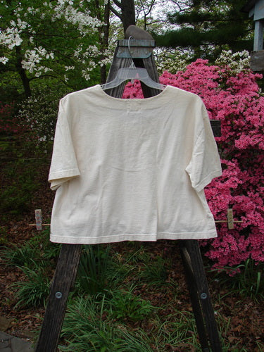 2001 Button Crop Top Pins and Needles Natural Size 1 displayed on a wooden easel outdoors, featuring wide short sleeves, a boxy style, and unique buttons with a vented hemline.