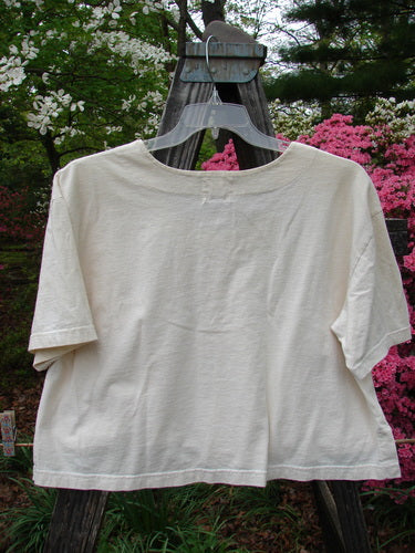 2001 Button Crop Top Pins and Needles Natural Size 1 displayed on a swing, highlighting its boxy style, wide short sleeves, and unique button details.