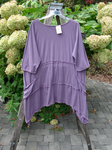Barclay NWT Raw Seam Vector Tunic Dress Tri Floral Violet Size 2 on hanger, draped over ladder outdoors, showcasing its scooped neckline, elbow-length sleeves, side pockets, and unique dip side hemline.