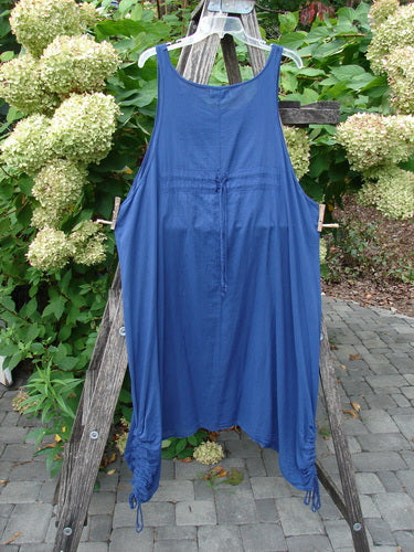 Barclay Batiste Side Gather Back Draw Shift Dress Unpainted Royal Blue Size 2 hanging on a wooden ladder outdoors, showcasing its sleeveless design, rounded neckline, and adjustable side gathers against lush greenery.