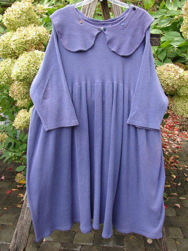 1992 Thermal Silly Collar Dress Unpainted Periwinkle Size 2, featuring a double-petal collar, wide three-quarter sleeves, and a gathered waist in a cozy thermal knit, hanging amidst garden foliage.