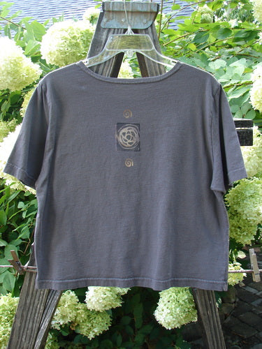 1996 KIDS Short Sleeved Tee Travel Out West Granite Size Large: Grey tee on a swinger, featuring a close-up of a flower and a green object.
