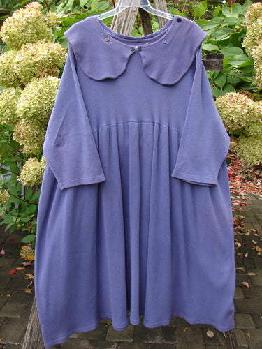 1992 Thermal Silly Collar Dress Unpainted Periwinkle Size 2 features a scalloped Peter Pan collar, button detail, three-quarter sleeves, empire waist, and full A-line skirt, exuding cozy vintage charm against hydrangeas.