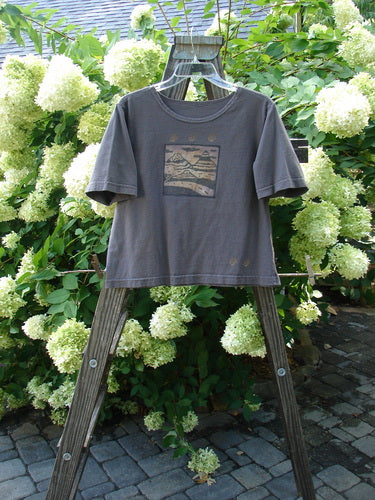 1996 KIDS Short Sleeved Tee featuring a vintage travel out west theme painting on a swinger. Size Large in granite.