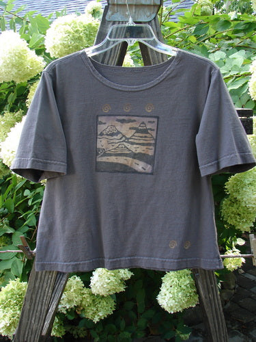 1996 KIDS Short Sleeved Tee Travel Out West Granite Size Large: A grey t-shirt with a picture of mountains, a river, a green plant, and a flower.
