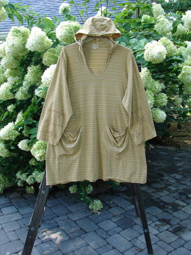 2000 Resort Hooded Pocket Pullover Biology Gold Stripe Size 2 | Bluefishfinder.com