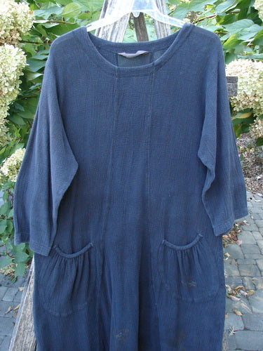 1998 Limited Edition Gauze Thostle Dress in Raven, loose-fitting with a round neckline, dropped shoulders, and two large front patch pockets, hanging outdoors amidst greenery; size 1, captures vintage Blue Fish Clothing essence.