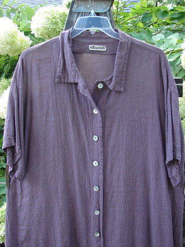 Barclay Pucker Cotton Short Sleeved Gingham Shirt Unpainted Plum Checker Size 2: A purple shirt on a swinger, featuring a tidy collar, A-line shape, and generous short sleeves.