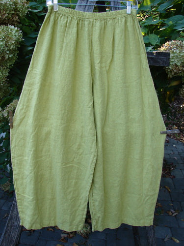Barclay NWT Linen Alchemist Pant Unpainted Citron Size 0, featuring wide-leg design, elastic waistband, and dual front pockets, displayed on a hanger against a garden backdrop, embodying BlueFishFinder's vintage, expressive style.