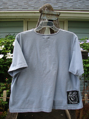 1999 Patched Short Sleeved Crop Tee Feather Bluestone Size 2 displayed on a hanger, featuring a thinner feminine rolled neckline and a signature Blue Fish patch on mid-weight organic cotton.