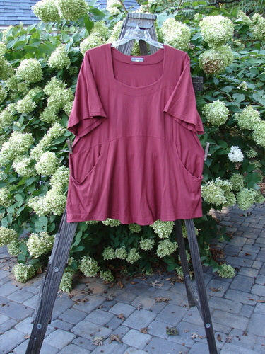 Image alt text: Barclay Be There Top, a red shirt on a clothes rack, made from Organic Cotton, with a squared double paneled deeper neckline, empire waist seam, wide full pleats, and a forever skirt flair.