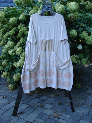 Image alt text: Barclay Farmer Jen Tunic Dress with Fallen Flower Theme, Pale Pink, Size 2, on a rack