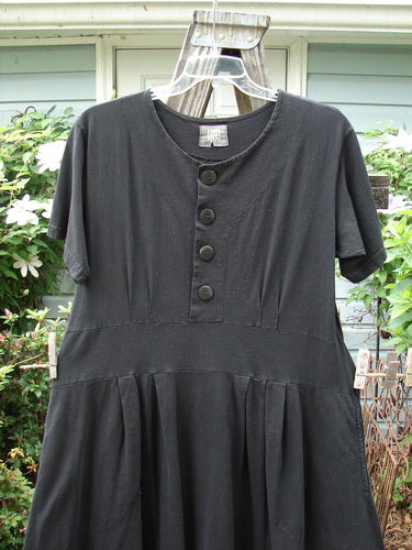 Vintage 2000 LuLu's Dress with Leaf Theme, Size 0, in Black. Organic Cotton, Yoked Waistline, Drop Pockets, Button Closure, Swingy Lower, Pleated Darts, Rippie Loops. Bust 44, Waist 44, Hips 58, Length 51 Inches.