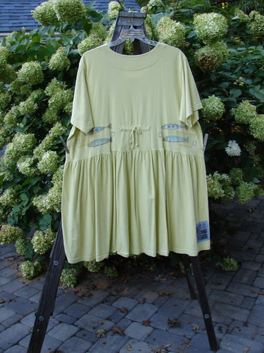 1999 Carry All Dress Double Pike Citron Size 2: A green dress with fish buttons, scoop neckline, and rear draw cord.
