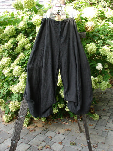 Barclay NWT Billow Pant, size 2, draped on a clothes line.