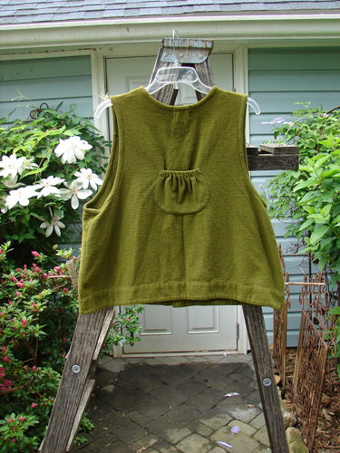 2000 Cylla Vest Diamond Greenroot Size 1 displayed on a wooden ladder, showcasing its thick flannel fabric, thermal accents, A-line shape, metal buttons, and front thermal pouches.