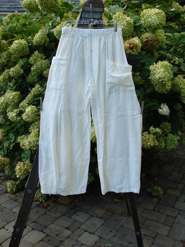 Image: A pair of white pants on a rack. 

Alt text: Barclay Linen Side Pocket Pepper Pant, white, size 1, on a rack.
