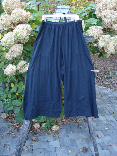 Barclay Two Pocket Pinch Cuff Wide Leg Pant Unpainted Black Size 2 hangs on a white hanger, showcasing its loose-fit, wide-leg design with horizontal pinched pleats and a full elastic waistline.