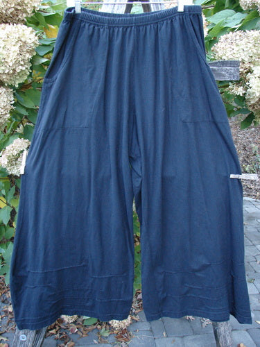 Barclay Two Pocket Pinch Cuff Wide Leg Pant Unpainted Black Size 2, hanging outdoors, showcasing its loose fit, full elastic waist, and horizontal pinched pleats against a backdrop of flowering shrubs.