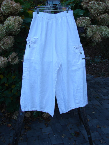 Barclay Linen Button Tab Tool Pocket Pant Unpainted Orchid Size 2 with wide-leg cropped design, elastic waistband, and multiple exterior pockets, including buttoned side patch pockets, displayed on a hanger against a garden backdrop.